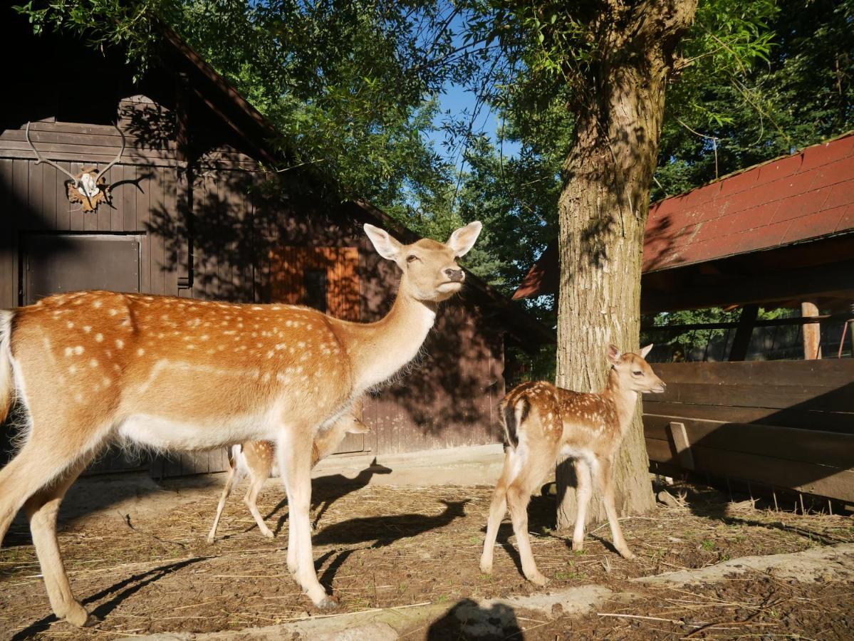 Penzion Obora Prostřední Bečva Extérieur photo