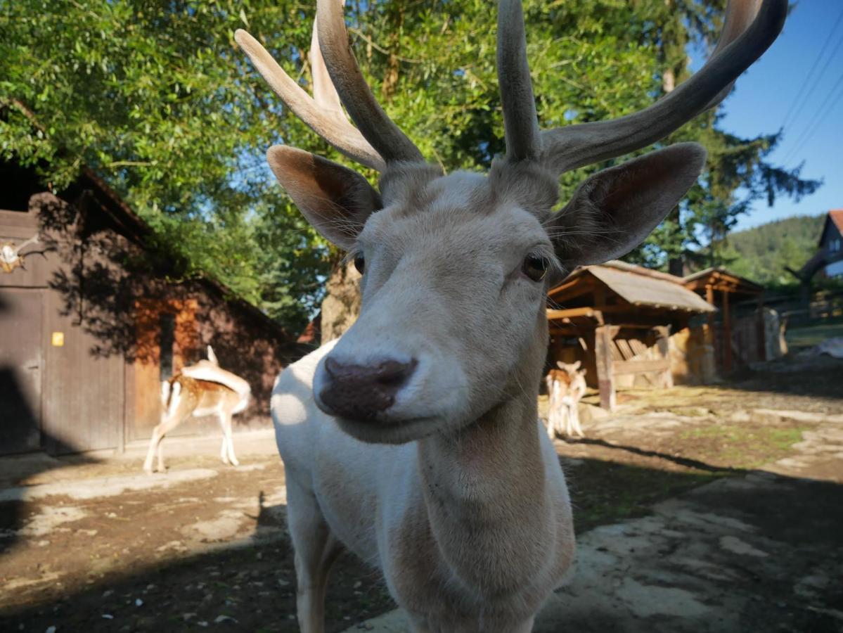Penzion Obora Prostřední Bečva Extérieur photo