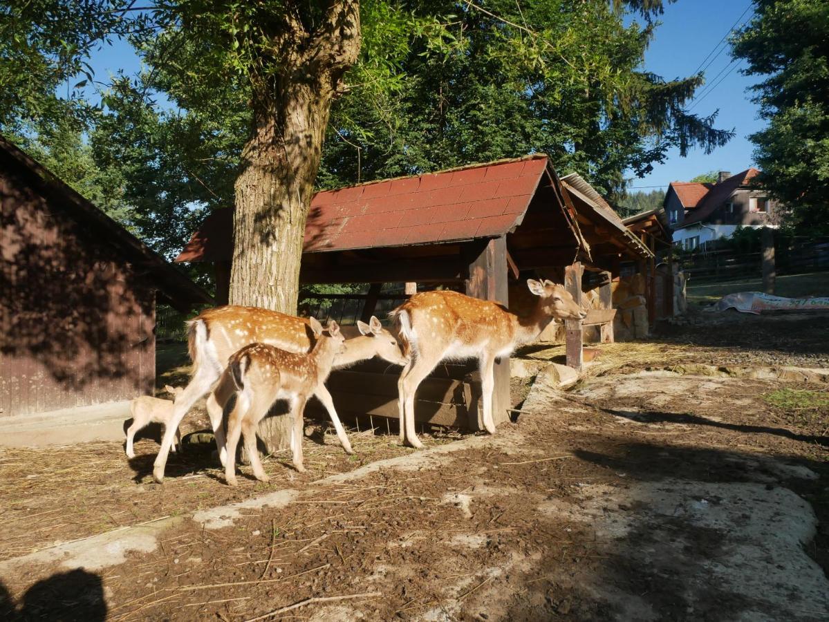 Penzion Obora Prostřední Bečva Extérieur photo