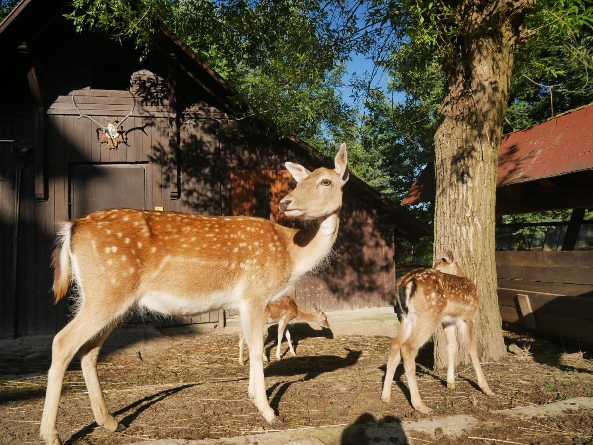 Penzion Obora Prostřední Bečva Extérieur photo